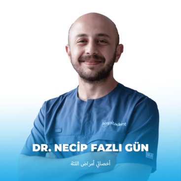 Necip Fazlı Gün