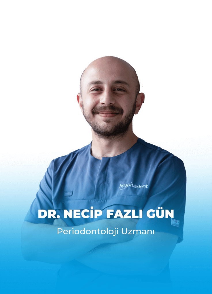 Necip Fazlı Gün